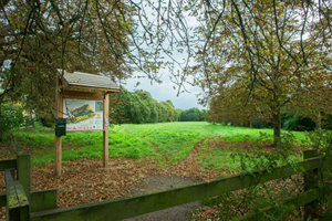 Milking Hill Common